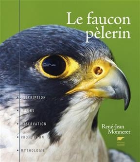 Le faucon pèlerin : description, moeurs, observation, protection, mythologie