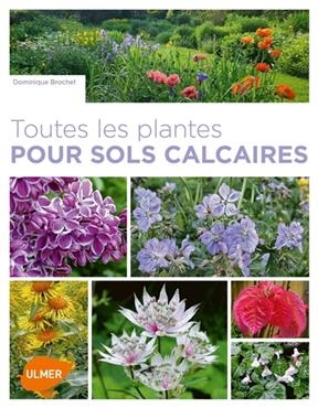 Toutes les plantes pour sols calcaires - Dominique Brochet
