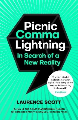 Picnic Comma Lightning - Laurence Scott