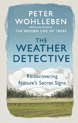 The Weather Detective