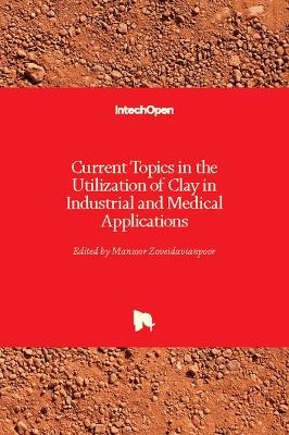 Current Topics in the Utilization of Clay in Industrial and Medical Applications - 