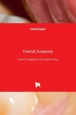 Dental Anatomy - 