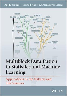 Multiblock Data Fusion in Statistics and Machine Learning