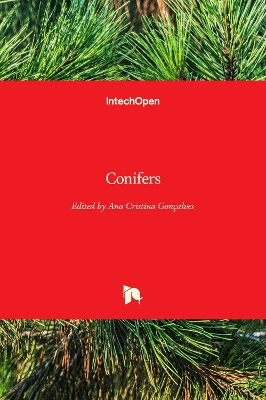 Conifers - 