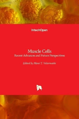 Muscle Cells - 