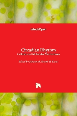 Circadian Rhythm - 