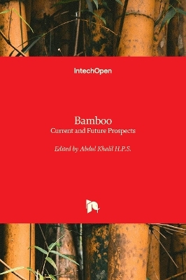 Bamboo