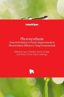 Photosynthesis - 