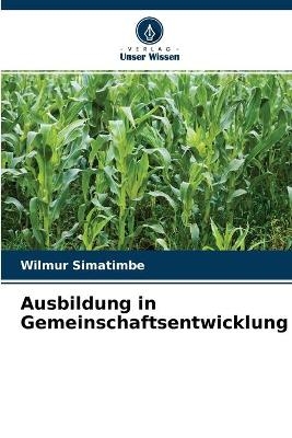 Ausbildung in Gemeinschaftsentwicklung - Wilmur Simatimbe