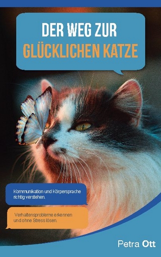 Der Weg zur glücklichen Katze