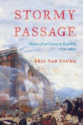 Stormy Passage - Eric Van Young