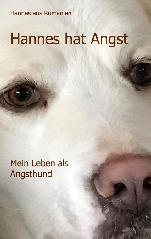 Hannes hat Angst - Hannes aus Rum&auml;nien