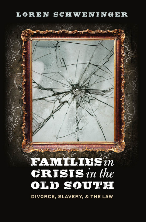 Families in Crisis in the Old South - Loren Schweninger