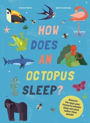 How Does An Octopus Sleep? - Martin Iannuzzi, Octavio Pintos