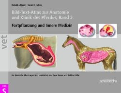 Bild-Text-Atlas zur Anatomie und Klinik des Pferdes, Band 2