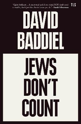 Jews Don&rsquo;t Count - David Baddiel