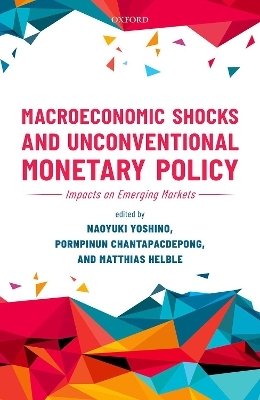 Macroeconomic Shocks and Unconventional Monetary Policy - 