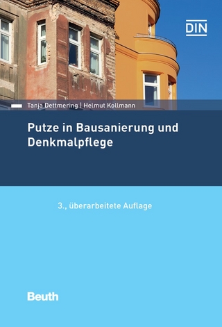 Putze in Bausanierung und Denkmalpflege - Buch mit E-Book
