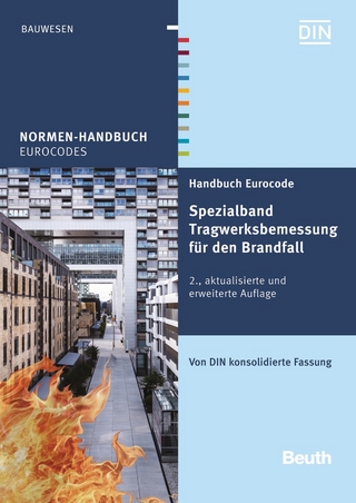 Handbuch Eurocode - Spezialband Tragwerksbemessung für den Brandfall - Buch mit E-Book