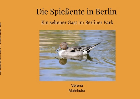 Die Spie&szlig;ente in Berlin - Verena Mahrhofer