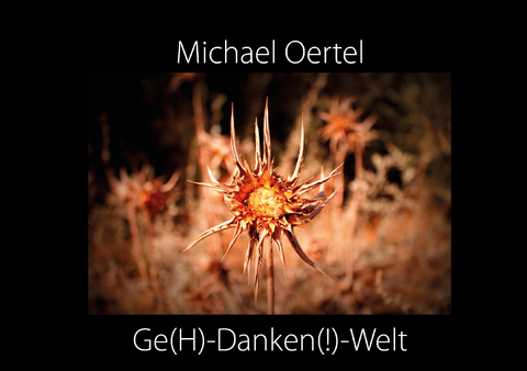 Ge(H)-Danken(!)-Welt - Michael Oertel