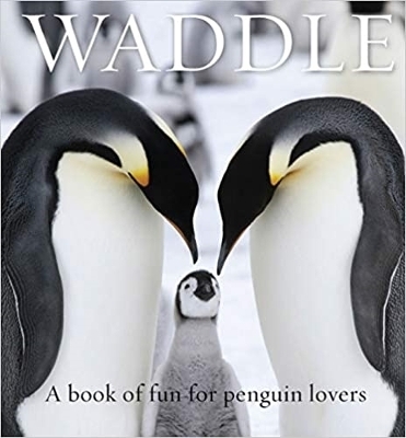 Waddle - 