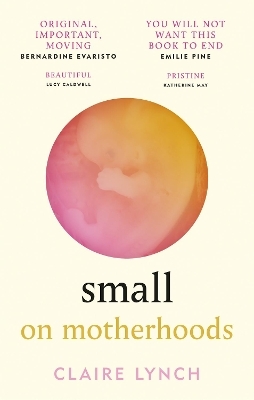 Small: On Motherhoods - Claire Lynch