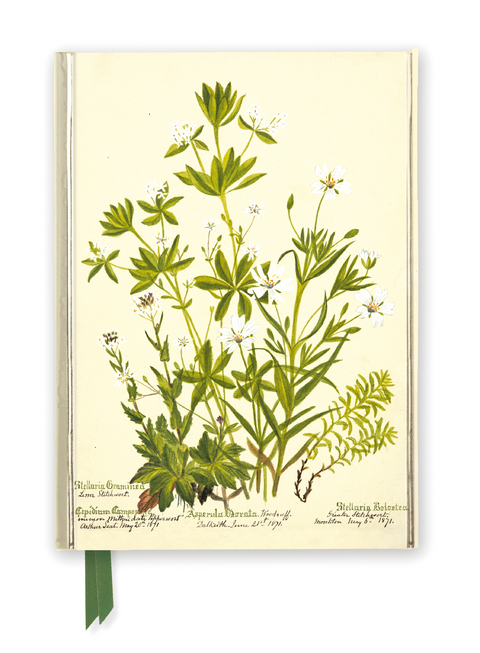 RBGE: Charlotte Cowan Pearson: Stitchworts, Woodruff and Pepperwort (Foiled Journal) - 
