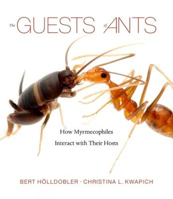 The Guests of Ants - Bert H&ouml;lldobler, Christina L. Kwapich