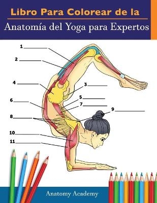 Libro Para Colorear de la Anatom&iacute;a del Yoga para Expertos - Anatomy Academy
