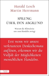 Sprung &uuml;ber den Abgrund - Harald Lesch, Martin Herrmann