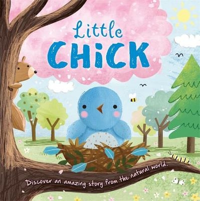 Little Chick -  Igloo Books Ltd