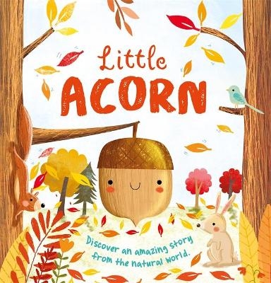 Nature Stories: Little Acorn -  Igloo Books Ltd