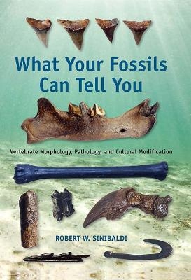 What Your Fossils Can Tell You