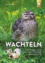Wachteln - 100 Fragen rund um Zucht, Haltung, Vermarktung - Damme, Klaus