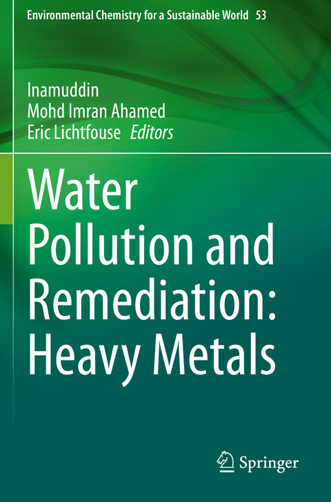 Water Pollution and Remediation: Heavy Metals - 