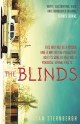 Blinds -  Adam Sternbergh