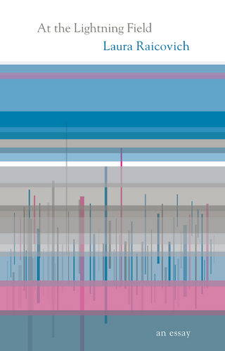 At the Lightning Field