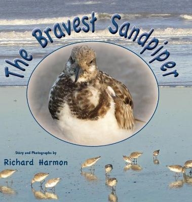 The Bravest Sandpiper - Richard Harmon