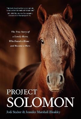 Project Solomon - Jodi Stuber