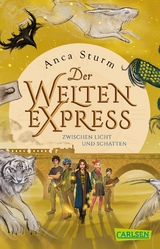 Zwischen Licht und Schatten (Der Welten-Express 2) - Anca Sturm