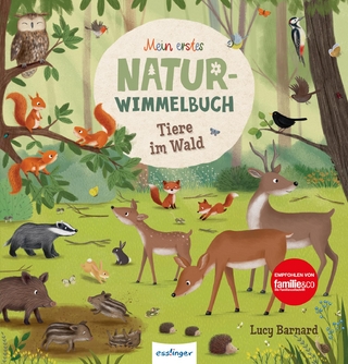 Mein erstes Natur-Wimmelbuch: Tiere im Wald