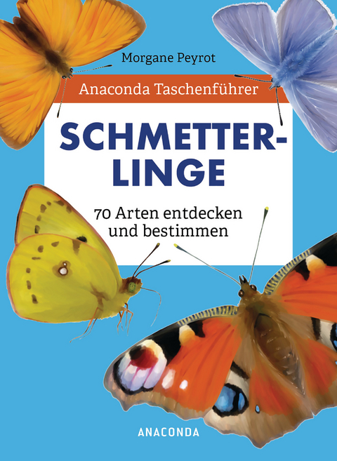 Anaconda Taschenf&uuml;hrer Schmetterlinge. 70 Arten entdecken und bestimmen - Morgane Peyrot