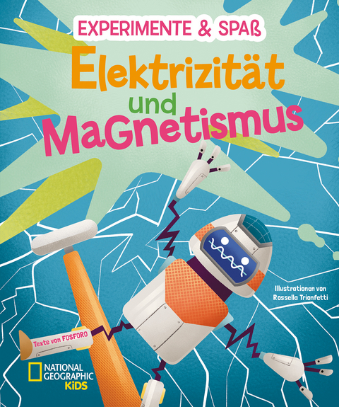 Elektrizit&auml;t und Magnetismus - Mattia Crivellini