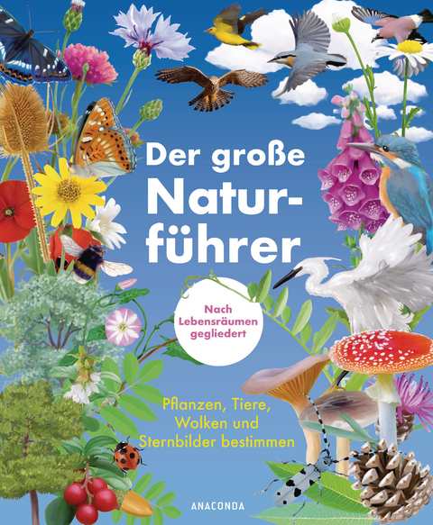Der gro&szlig;e Naturf&uuml;hrer. Pflanzen, Tiere, Wolken und Sternbilder bestimmen. Nach Lebensr&auml;umen gegliedert - Morgane Peyrot, Blandine Pluchet, Xavier Nitsch