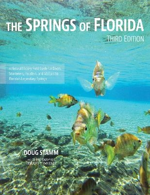 The Springs of Florida - Doug Stamm