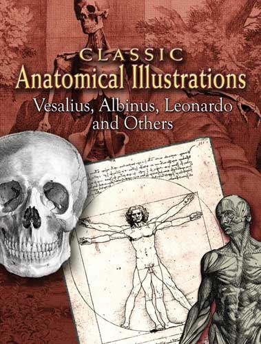 Classic Anatomical Illustrations -  Albinus,  Leonardo,  Vesalius