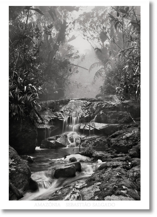 Sebastião Salgado. Amazônia. Poster ‘Creek’