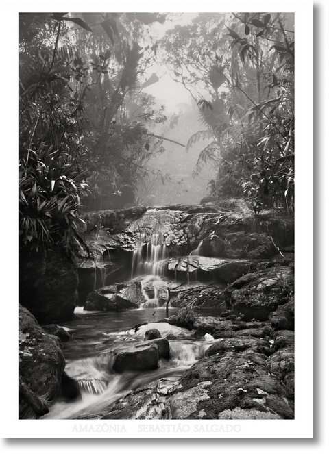 Sebasti&atilde;o Salgado. Amaz&ocirc;nia. Poster &lsquo;Creek&rsquo;