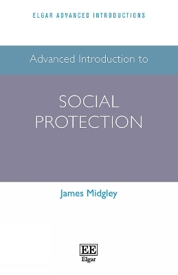 Advanced Introduction to Social Protection - James Midgley